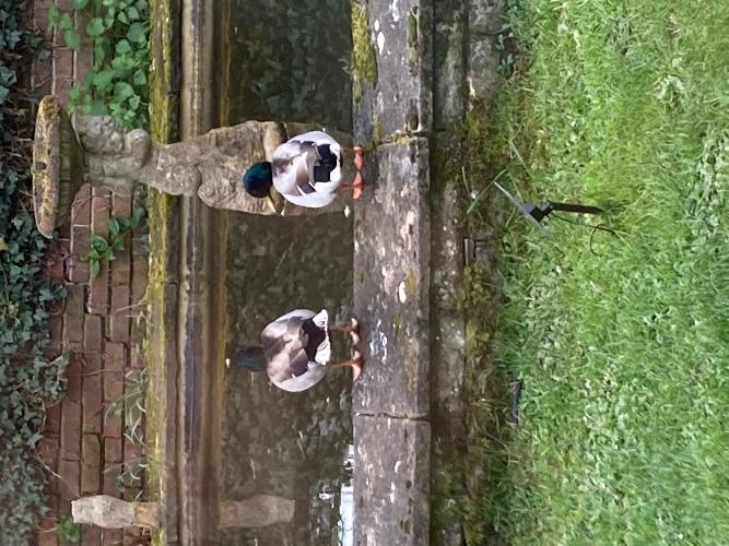 Re-located away from the River Teme Moved house away from the constant threat of being flooded.