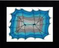 A spider's web - Rebecca Waldron-Smith